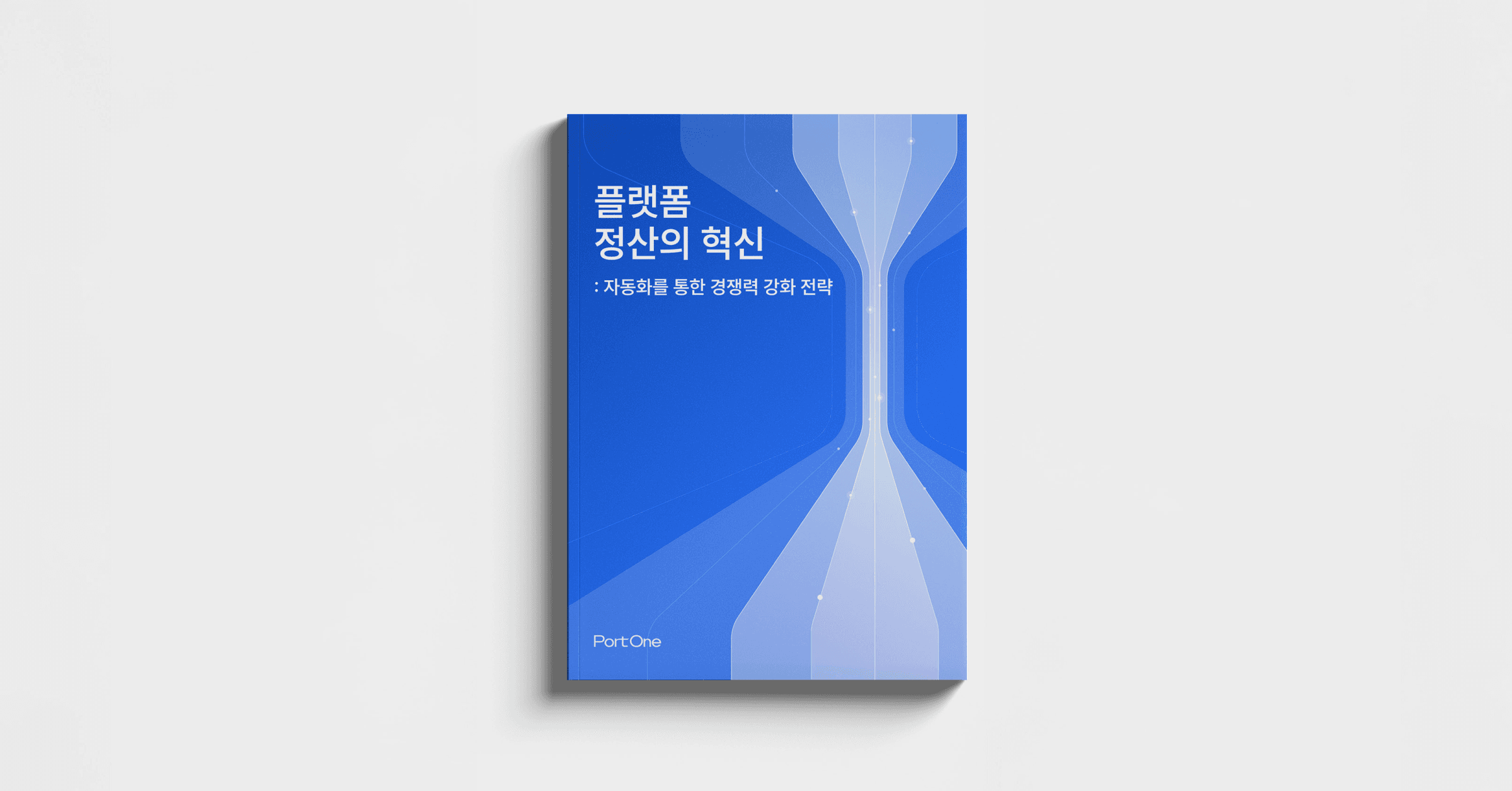 플랫폼 정산 가이드북: 자동화를 통한 경쟁력 강화 전략